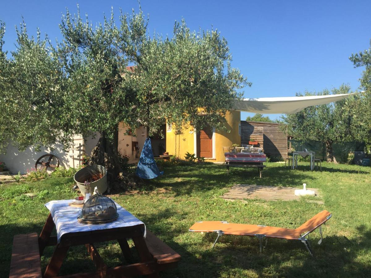 C'Era Una Volta Podere San Giovanni Fossacesia Eksteriør bilde