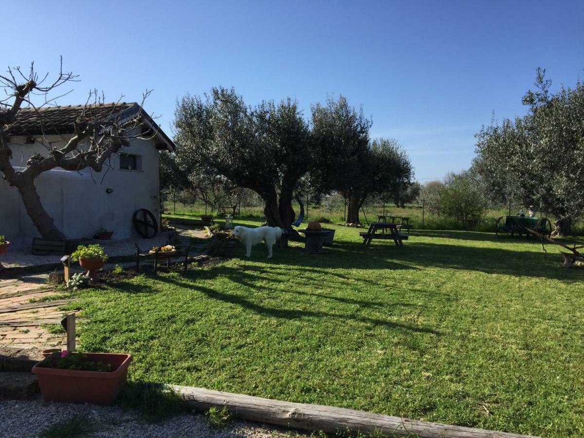 C'Era Una Volta Podere San Giovanni Fossacesia Eksteriør bilde